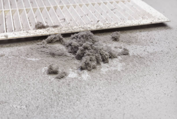 Best Professional Duct Cleaning Services  in Metropolis, IL
