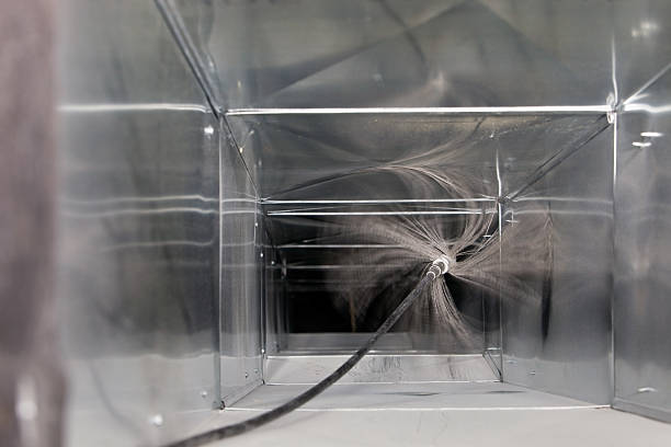 Best Air Duct Mold Removal  in Metropolis, IL